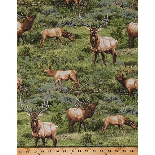 Cotton Elk Animals Wildlife Northwoods Born Free Scenic Green Cott...