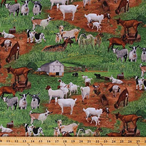 Cotton Goats Kids in Pastures Farm Animals Barns Country Green Cot...