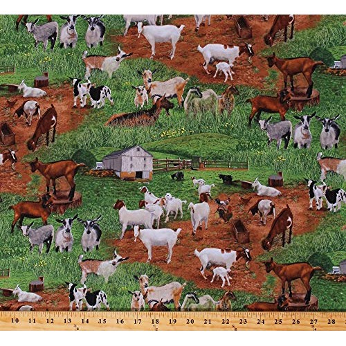 Cotton Goats Kids in Pastures Farm Animals Barns Country Green Cot...