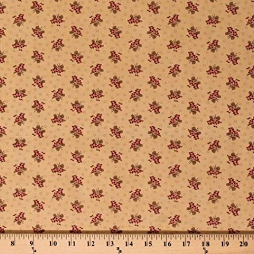 Cotton Jo Morton Hickory Road Flowers Floral Bouquets Circles on C...