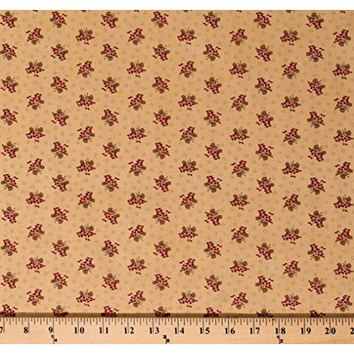 Cotton Jo Morton Hickory Road Flowers Floral Bouquets Circles on C...