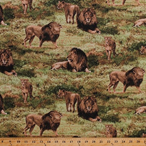 Cotton Lions Lioness Cubs Pride Animals Predators Big Cats Africa ...