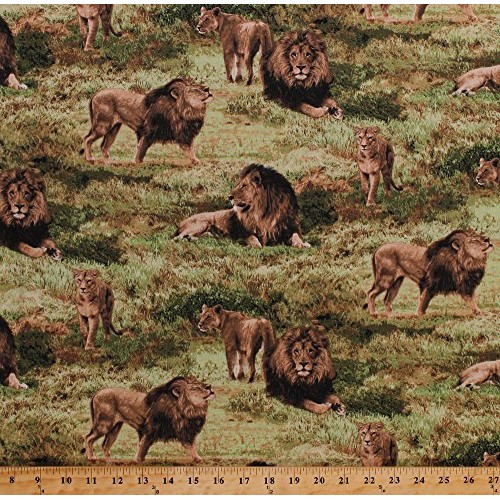 Cotton Lions Lioness Cubs Pride Animals Predators Big Cats Africa ...