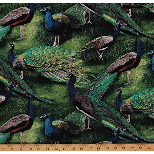 Cotton Pagent of Color Peacock Birds Animals Nature Cotton Fabric ...