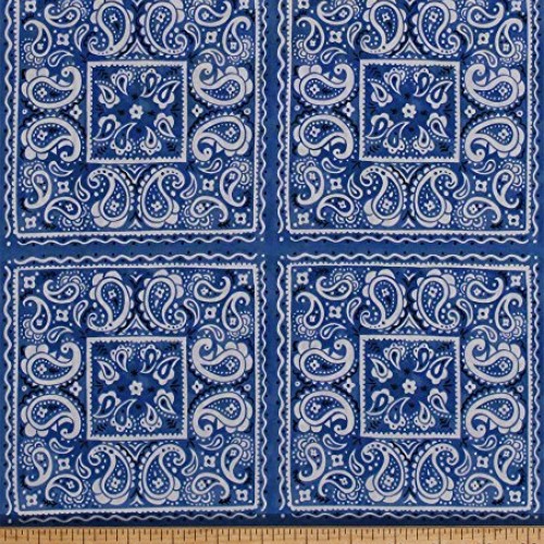 Cotton Paisleys Paisley Floral Design Blue White Squares Tiles Loo...