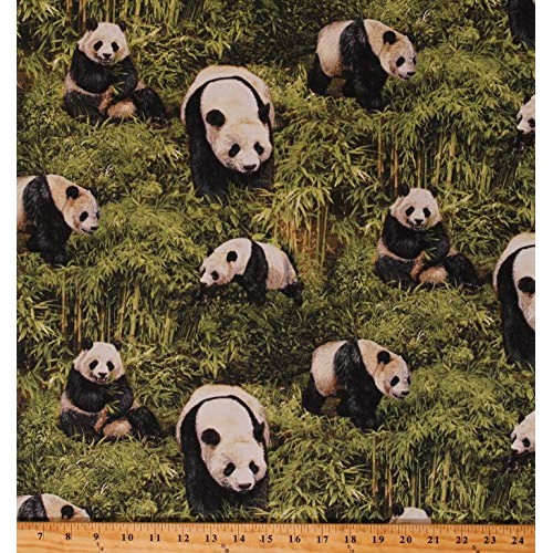 Cotton Panda Bear Pandas Animals Bamboo Jungle Nature Wildlife Bor...