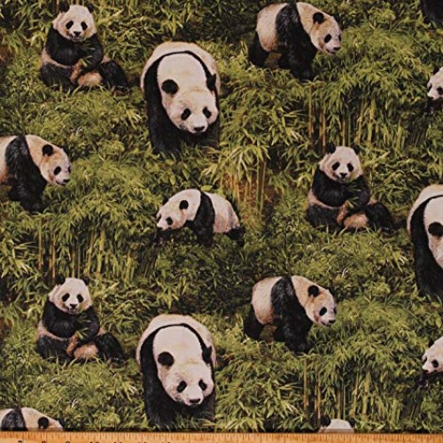 Cotton Panda Bear Pandas Animals Bamboo Jungle Nature Wildlife Bor...