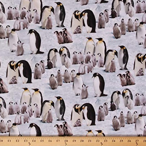 Cotton Penguins Emperor Penguins Chicks Arctic Animals Wildlife Na...