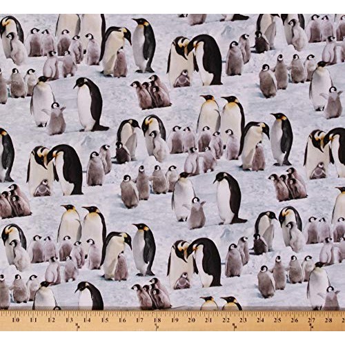 Cotton Penguins Emperor Penguins Chicks Arctic Animals Wildlife Na...