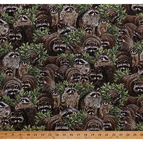 Cotton Raccoons Racoons Coons Wildlife Animals Scenic Nature Backy...