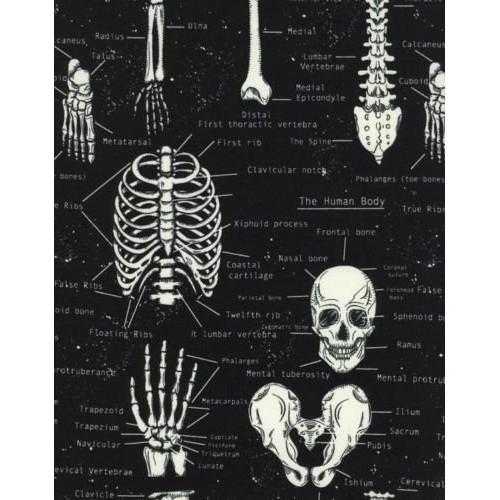 Timeless Treasures Glow in the Dark Skeleton Cotton Fabric Print b...