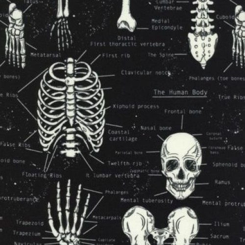 Timeless Treasures Glow in the Dark Skeleton Cotton Fabric Print b...