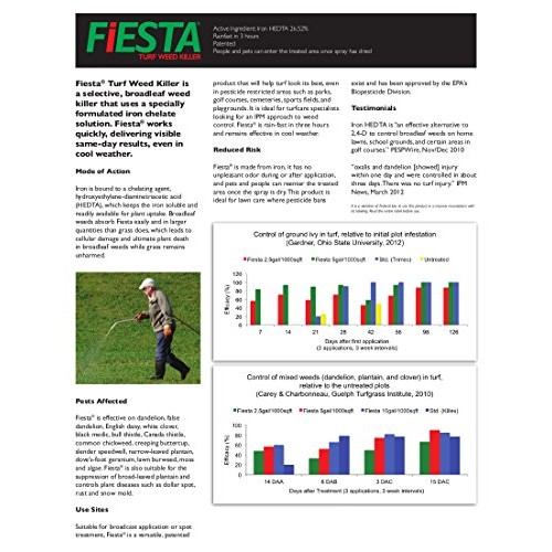 Fiesta Selective Post-Emergent Turf Weed Killer 1 Gallon