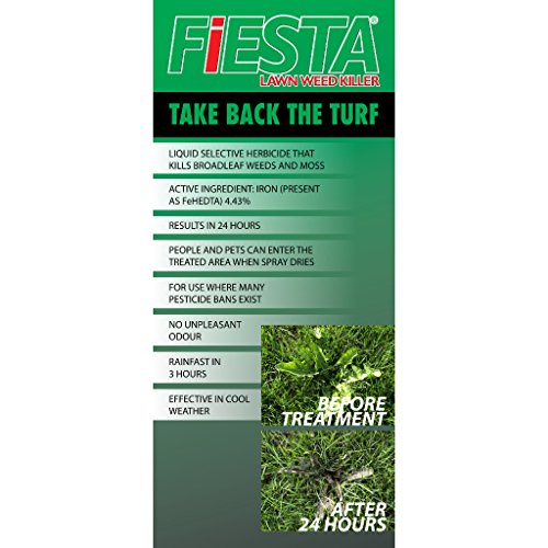 Fiesta Selective Post-Emergent Turf Weed Killer 1 Gallon