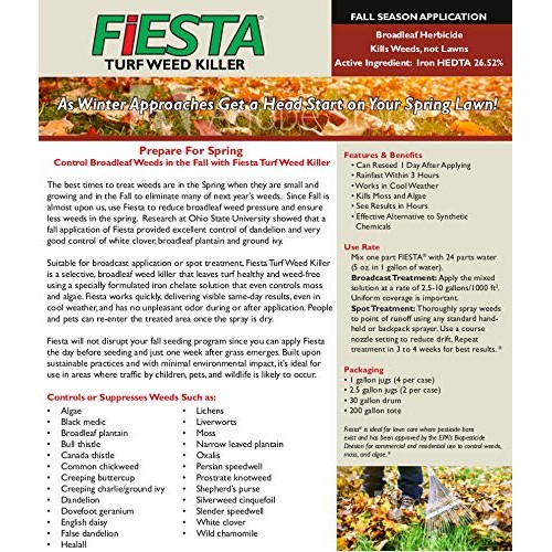 Fiesta Selective Post-Emergent Turf Weed Killer 1 Gallon