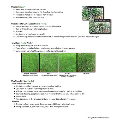 Fiesta Selective Post-Emergent Turf Weed Killer 1 Gallon