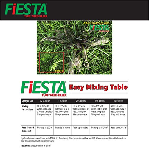 Fiesta Selective Post-Emergent Turf Weed Killer 1 Gallon