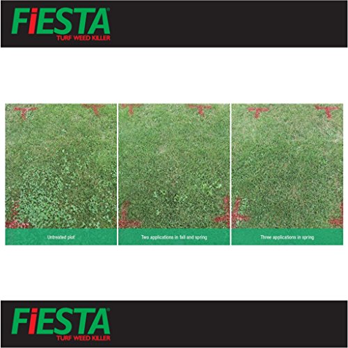 Fiesta Selective Post-Emergent Turf Weed Killer 1 Gallon