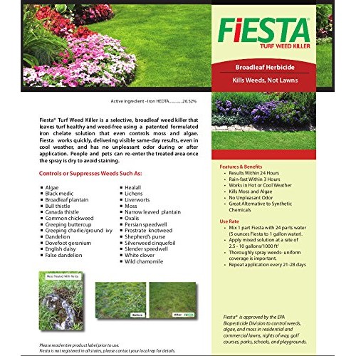 Fiesta Selective Post-Emergent Turf Weed Killer 1 Gallon