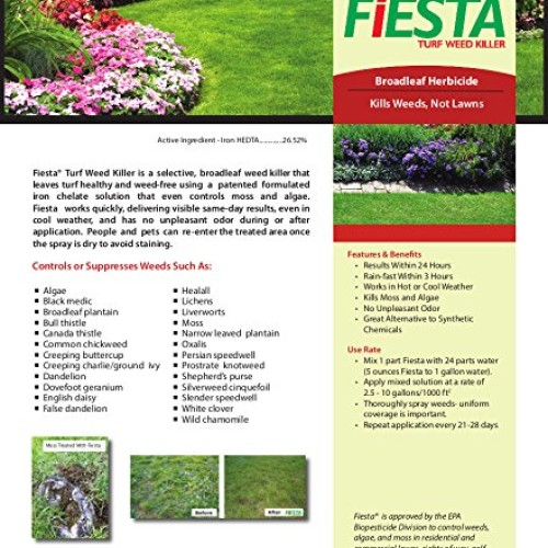 Fiesta Selective Post-Emergent Turf Weed Killer 1 Gallon