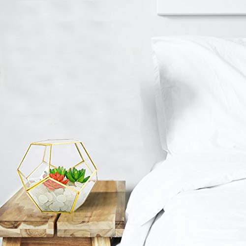 Finderomend Gold Glass Geometric Terrarium, Pentagon Regular Brass...