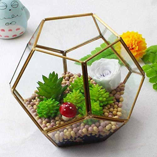 Finderomend Gold Glass Geometric Terrarium, Pentagon Regular Brass...