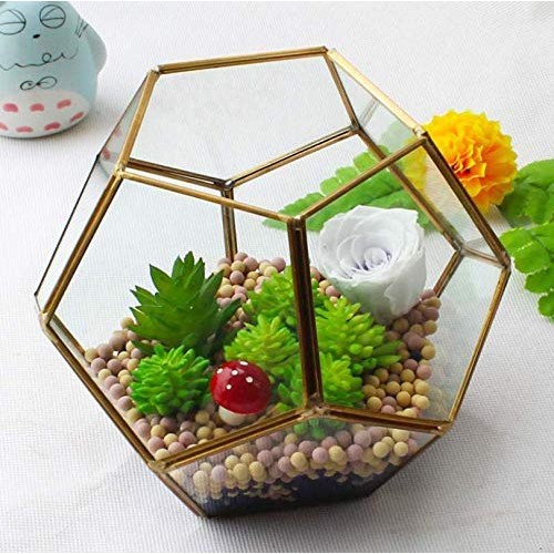 Finderomend Gold Glass Geometric Terrarium, Pentagon Regular Brass...