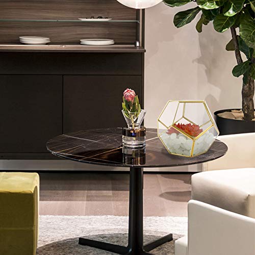 Finderomend Gold Glass Geometric Terrarium, Pentagon Regular Brass...