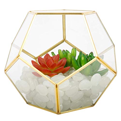 Finderomend Gold Glass Geometric Terrarium, Pentagon Regular Brass...