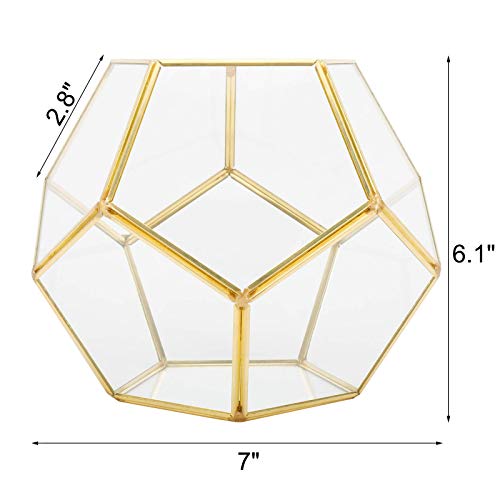 Finderomend Gold Glass Geometric Terrarium, Pentagon Regular Brass...