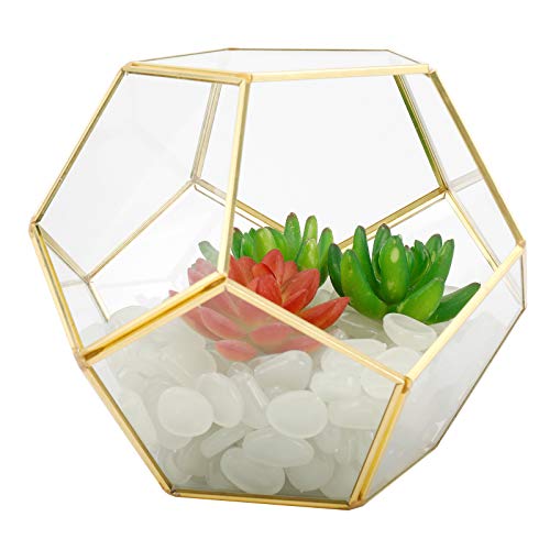 Finderomend Gold Glass Geometric Terrarium, Pentagon Regular Brass...