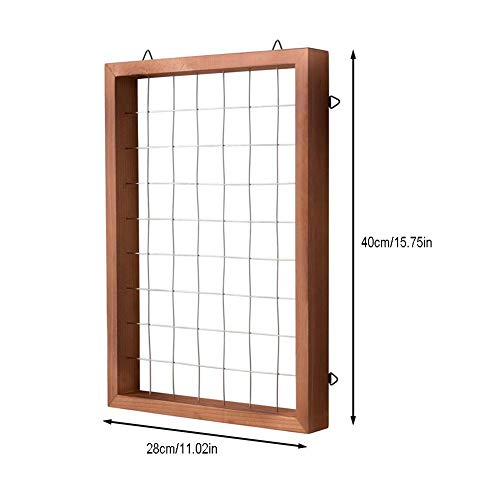 Air Plants Frame Wall Holder, Air Plants Hanger Wall Display, Flow...
