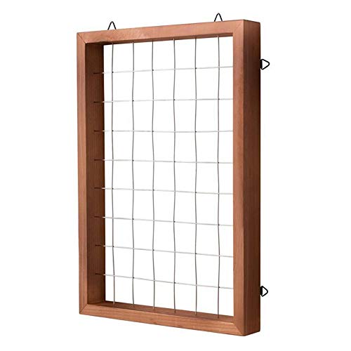 Air Plants Frame Wall Holder, Air Plants Hanger Wall Display, Flow...