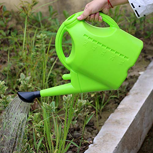 Finetoknow 5L Watering Can, Detachable Watering Can 2 in 1, Wateri...
