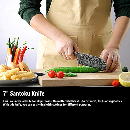 Kitchen Knife Sets, FineTool Professional Chef Knives Set Japanese...