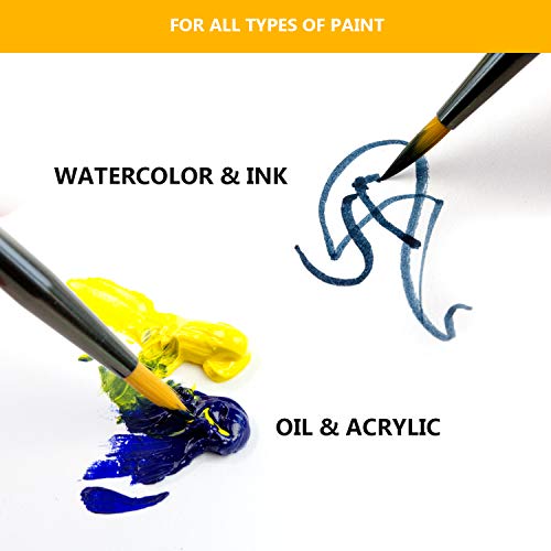 Miniature Paint Brush Set 6pcs + 1 Free - Best Find Detail Paint B...