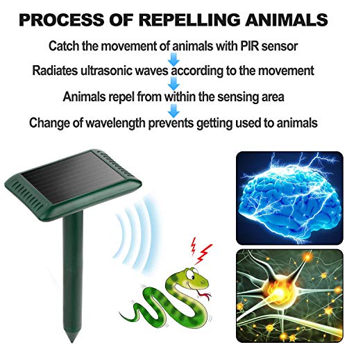 Firlar Animal Repeller Ultrasonic Solar Spikes Motion Sensor and F...