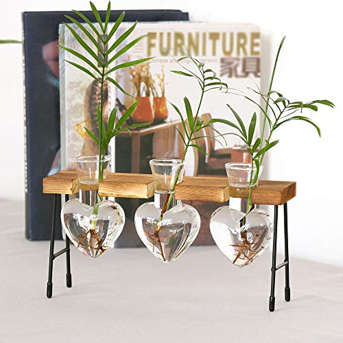 Firlar Plant Terrarium, Desktop Creative Heart-Shaped Glass Plante...