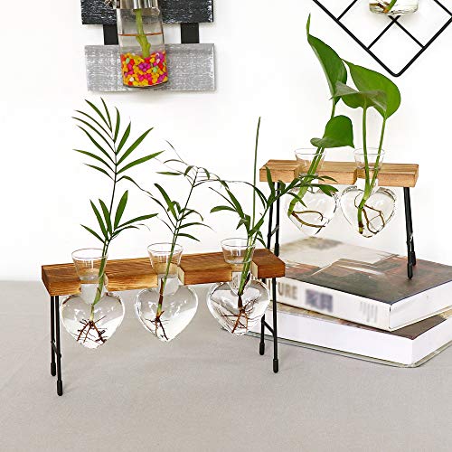 Firlar Plant Terrarium, Desktop Creative Heart-Shaped Glass Plante...