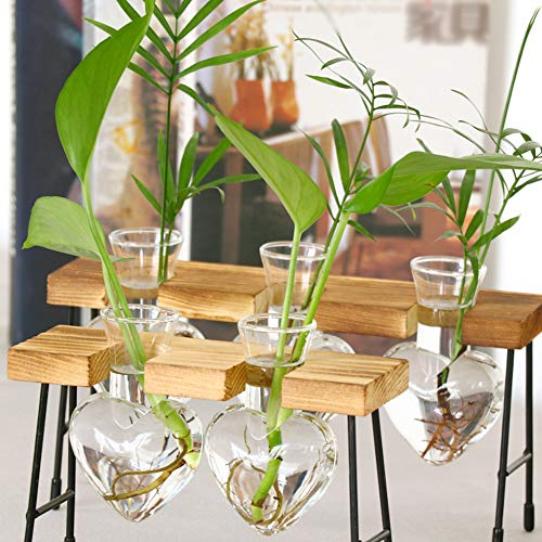 Firlar Plant Terrarium, Desktop Creative Heart-Shaped Glass Plante...