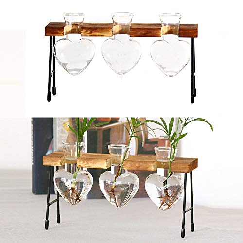 Firlar Plant Terrarium, Desktop Creative Heart-Shaped Glass Plante...