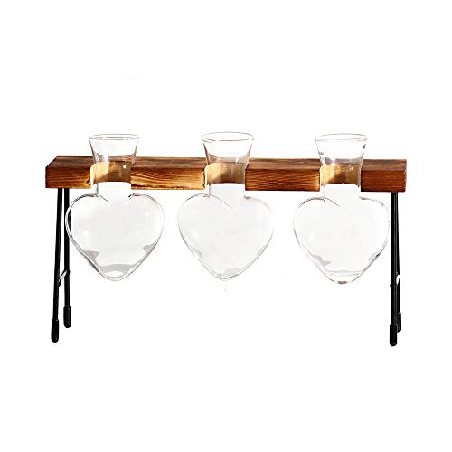 Firlar Plant Terrarium, Desktop Creative Heart-Shaped Glass Plante...
