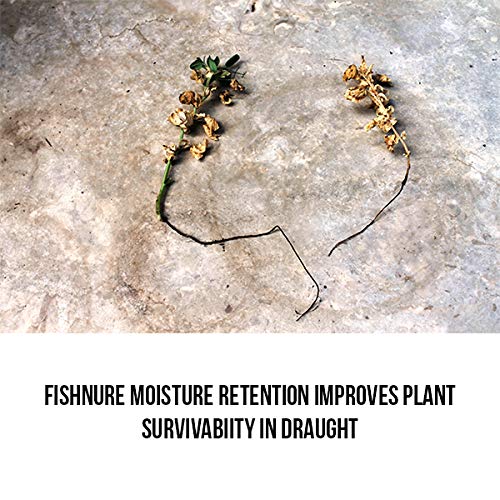 Fishnure 16 Pound Fish Manure Organic Living Humus Compost Soil Co...