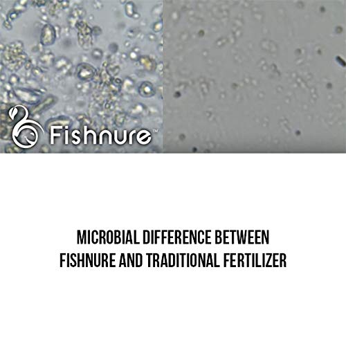 Fishnure 16 Pound Fish Manure Organic Living Humus Compost Soil Co...