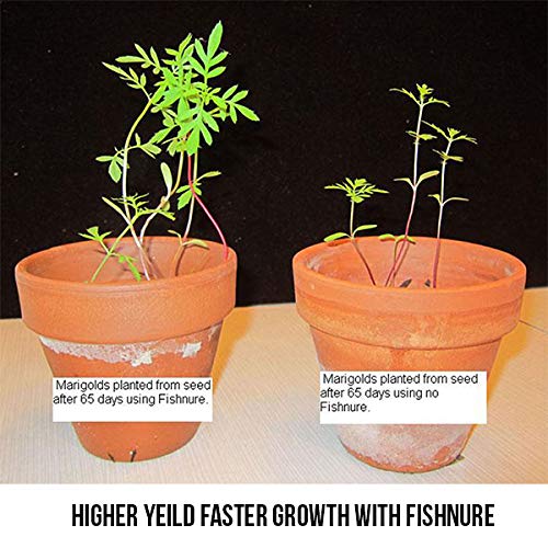 Fishnure 16 Pound Fish Manure Organic Living Humus Compost Soil Co...