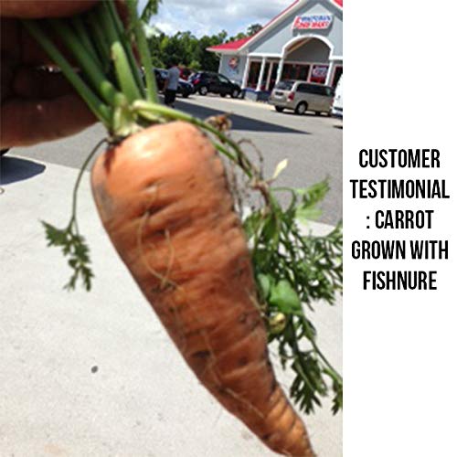 Fishnure 8 Pound Fish Manure Organic Living Humus Compost Soil Con...