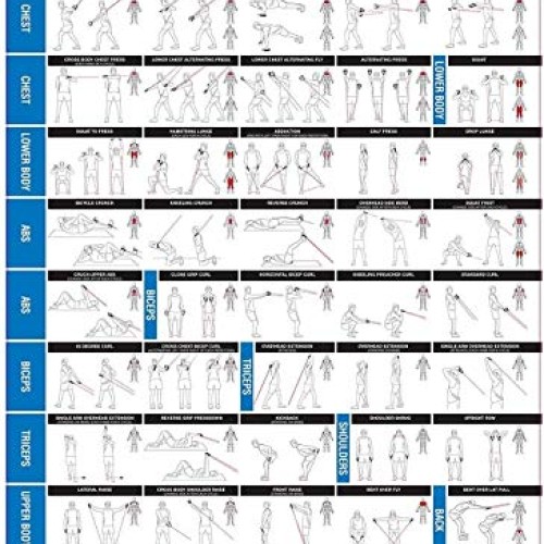 Resistance Bands Set. 5