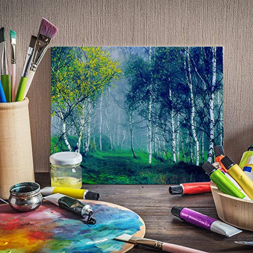 FIXSMITH-Painting-Canvas-Panels,11x14 Inch Canvas Board Super Valu...