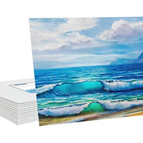 FIXSMITH-Painting-Canvas-Panels,11x14 Inch Canvas Board Super Valu...