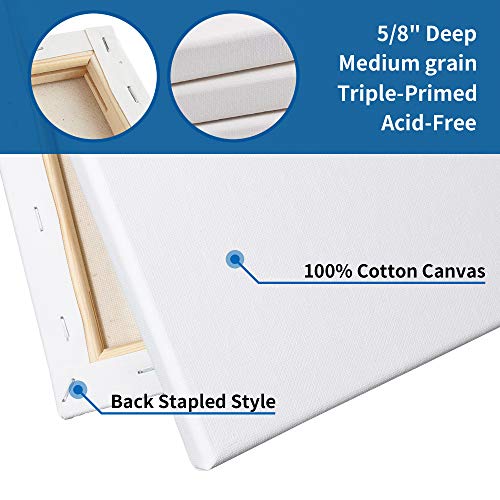 FIXSMITH Stretched White Blank Canvas - 11x14 Inch, 8 Pack, Primed...